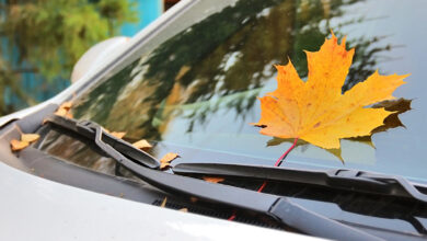 Photo of Дёргается, троит, потеет и не тормозит: почему осенью машина жалуется на здоровье